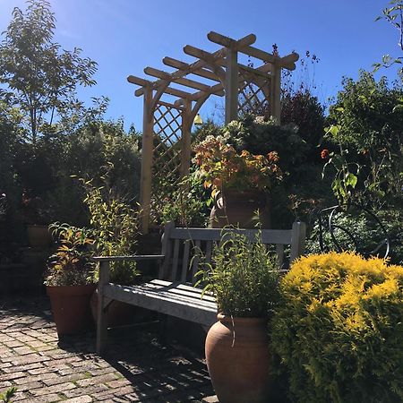 Anne'S House Bed & Breakfast Hastings Luaran gambar