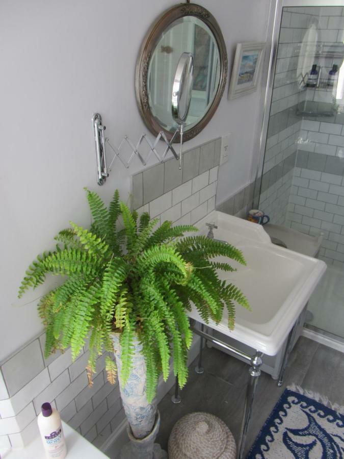 Anne'S House Bed & Breakfast Hastings Luaran gambar